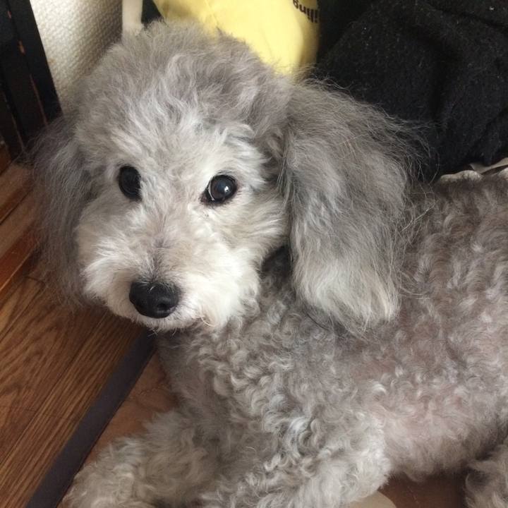 F727ad8b 1818 46f0 8142 a15c8dfa73c5