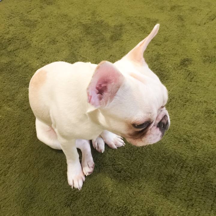 F727f2bc db5b 4d35 a7fc b3c5b526a436