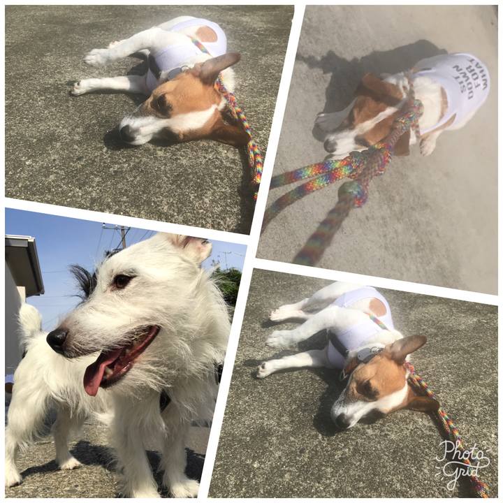 F728b2a9 4b18 406f 8d22 6e4c9f796e10