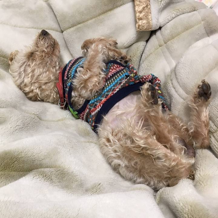 F7298d25 e3db 484a ac89 31a54ac70b6c