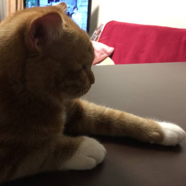 F72a007f 66b7 49ec 83c6 d8dbb76bc853