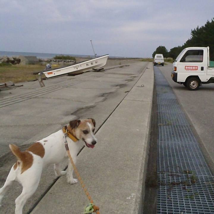 F72ac773 a03a 485c a696 58d90a2fe1d3