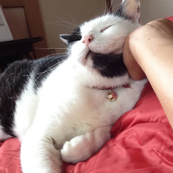 F72b4333 2f5d 4796 81e6 5fd277433d61