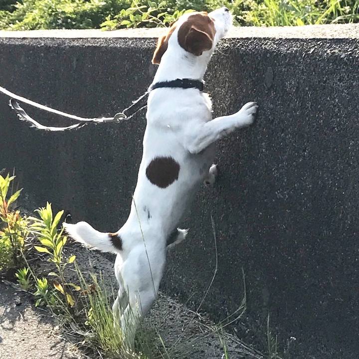 F72b70a5 2db1 4893 b59e 682ebe8fbe74