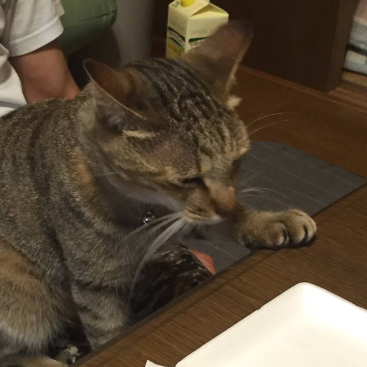 F72b9675 a39a 43a3 8910 6c57c1107f58