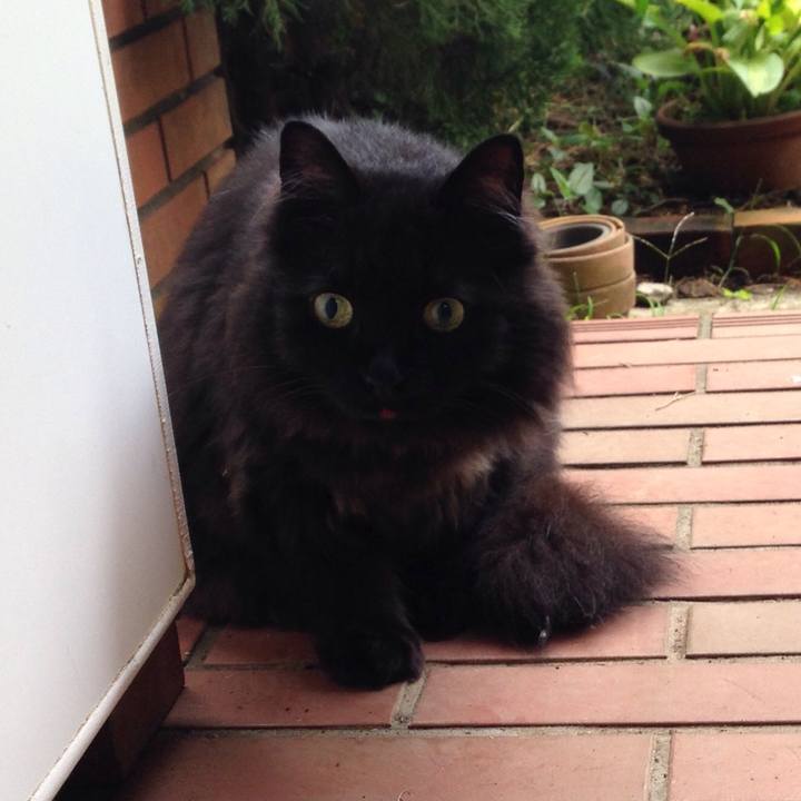 F72ca6d7 3c0b 4db6 817e d777fac23cd6