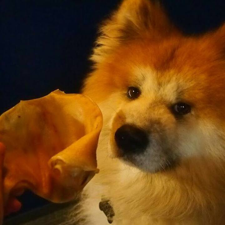 F72d1916 c77f 4a26 bb4f 7ce18df27c26