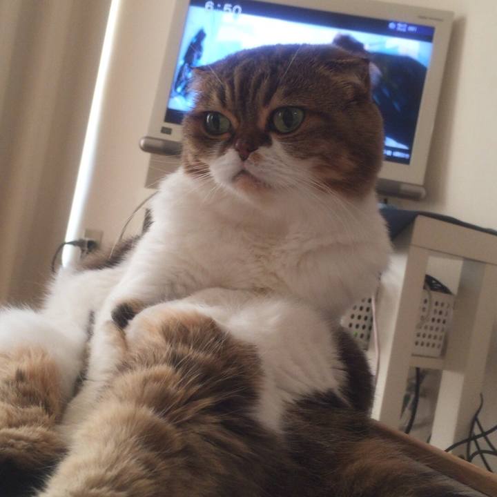 F72d69a8 eecd 4c36 a608 7237787c52fd