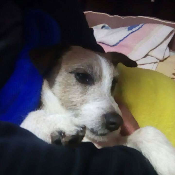 F72d9a42 c611 4a89 b005 39255c1a5828