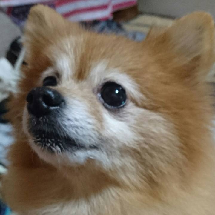 F72da1bd 05cd 4d92 ba60 c4151dcba266