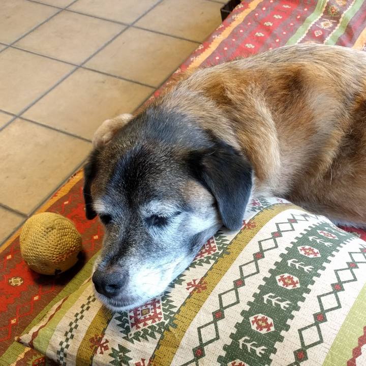 F72dd6fe 2da1 48a1 9fff 06f7bdc4eca9