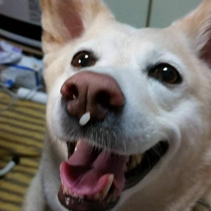 F72df6d4 47d9 44e9 b8bb bcb454154b8c