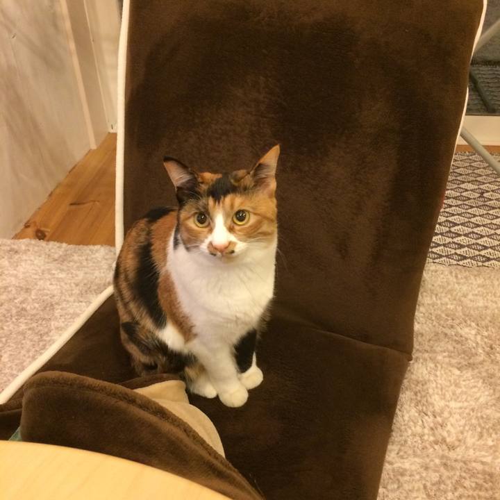 F72e4069 6d84 4f12 8158 e9693c780ef9