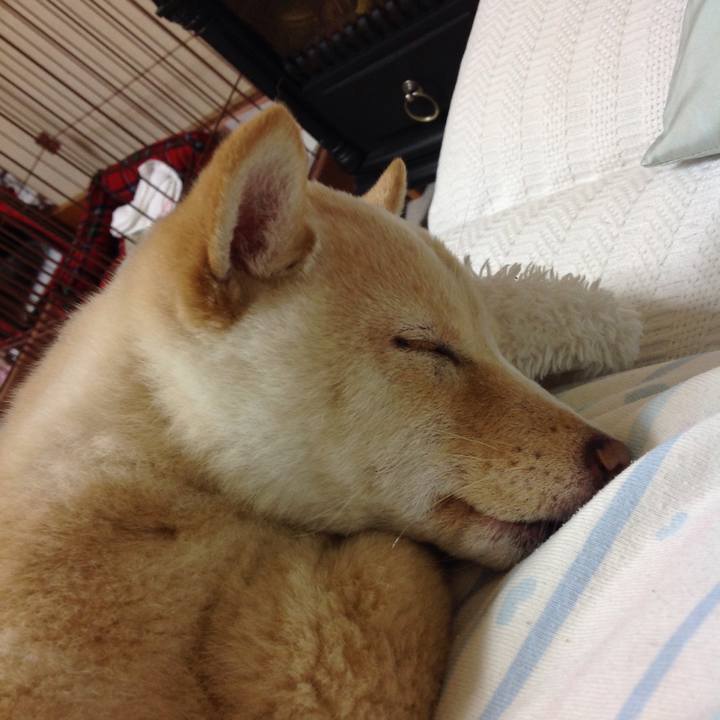 F72e9089 a49b 4e2d 8f16 ba8816168e14