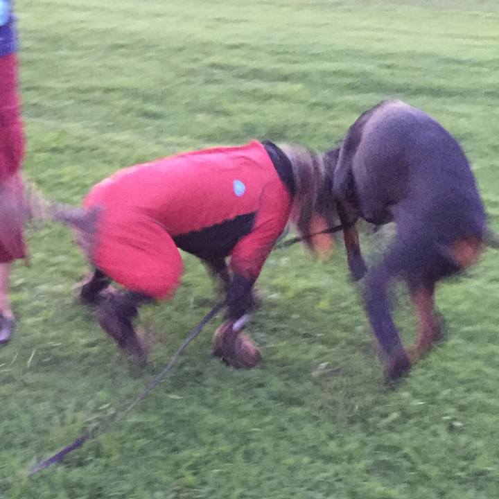 F72f8a71 1fcf 4608 9b6d d1068ffccac6