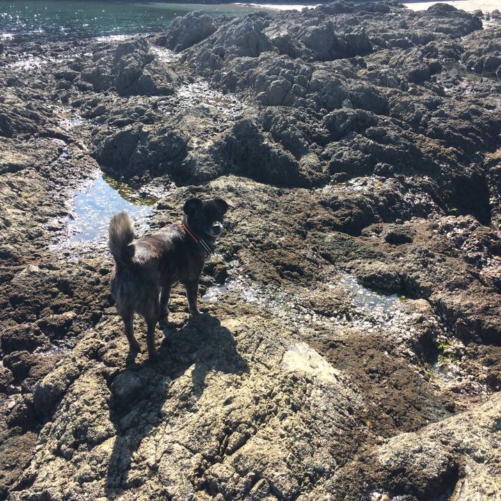 F72fa5ba f7cc 4b0a 83a0 a98a01f84c87