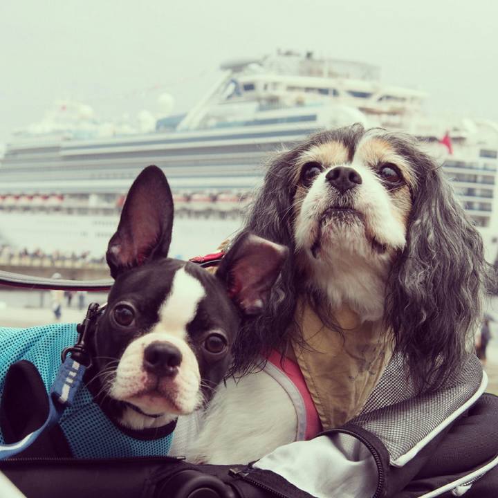 F7305aaf 6a32 4fad bc2c 043f9210b389