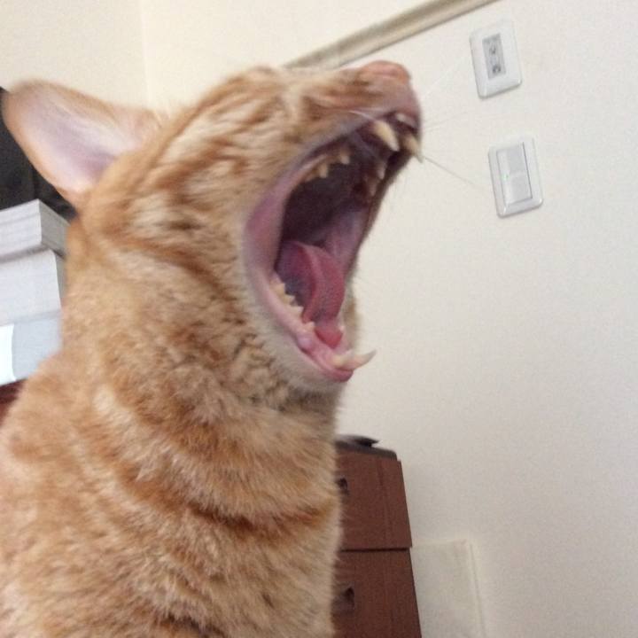 F730621a c580 4b29 ae75 e922925d1a86