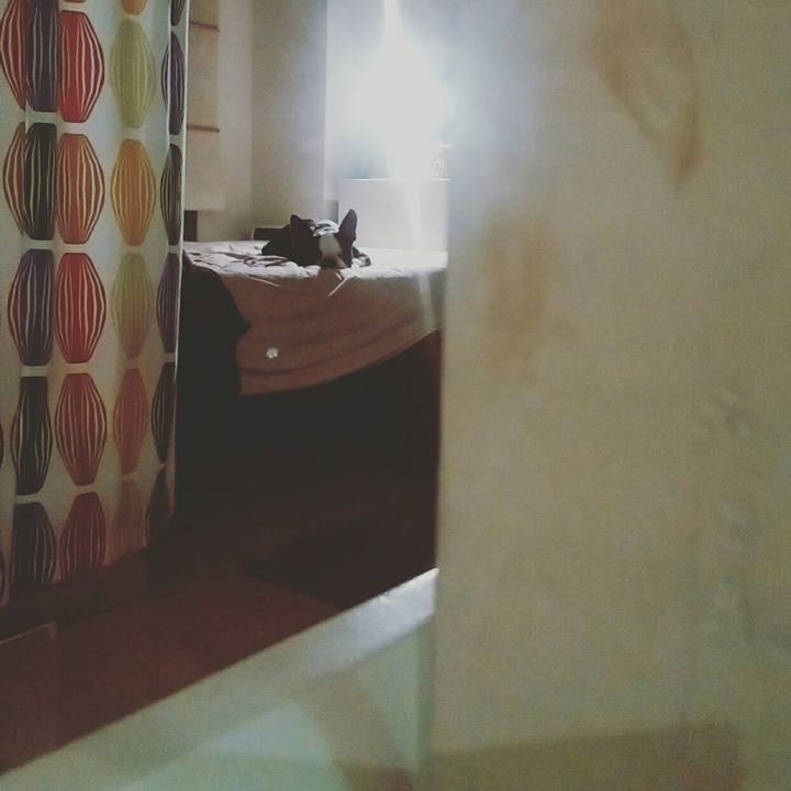 F73067d0 bb4a 4d6f 818c 72ac5f89b8d0