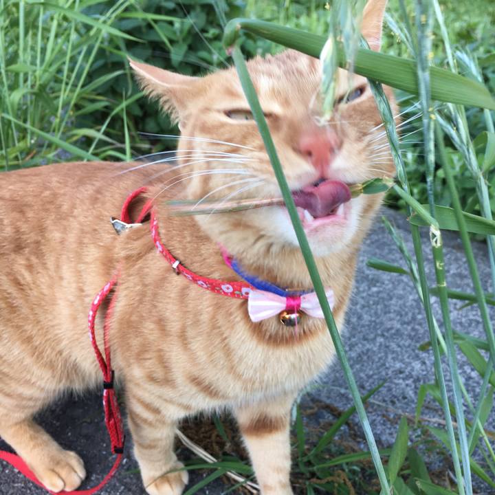 F730ad18 a034 4589 911e de51ff071554