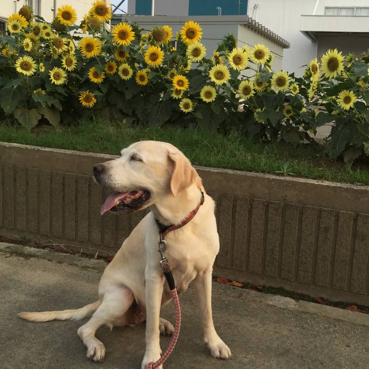 F73106b3 4da9 439b 906b d932f6cf6908