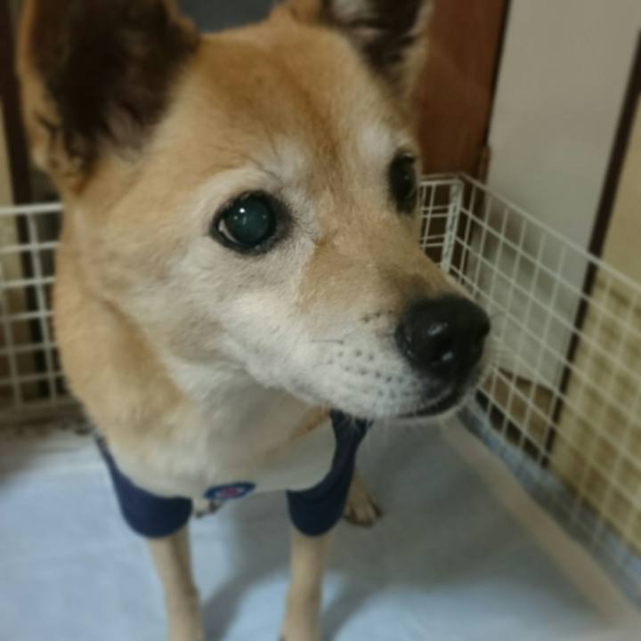 F731403f 46a1 42d6 a690 29270c3dbf1b