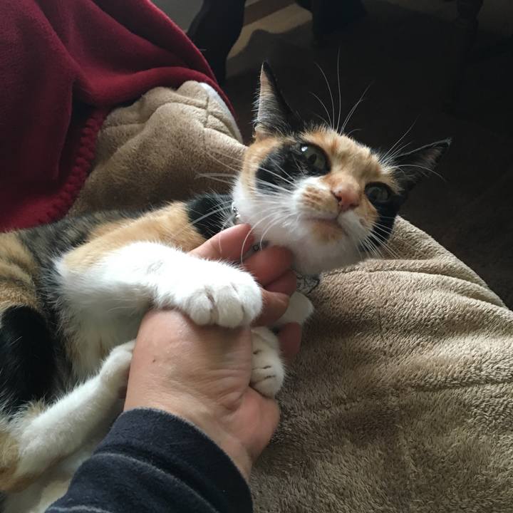 F7323d54 2cbb 4960 bd55 4830d97f7c42