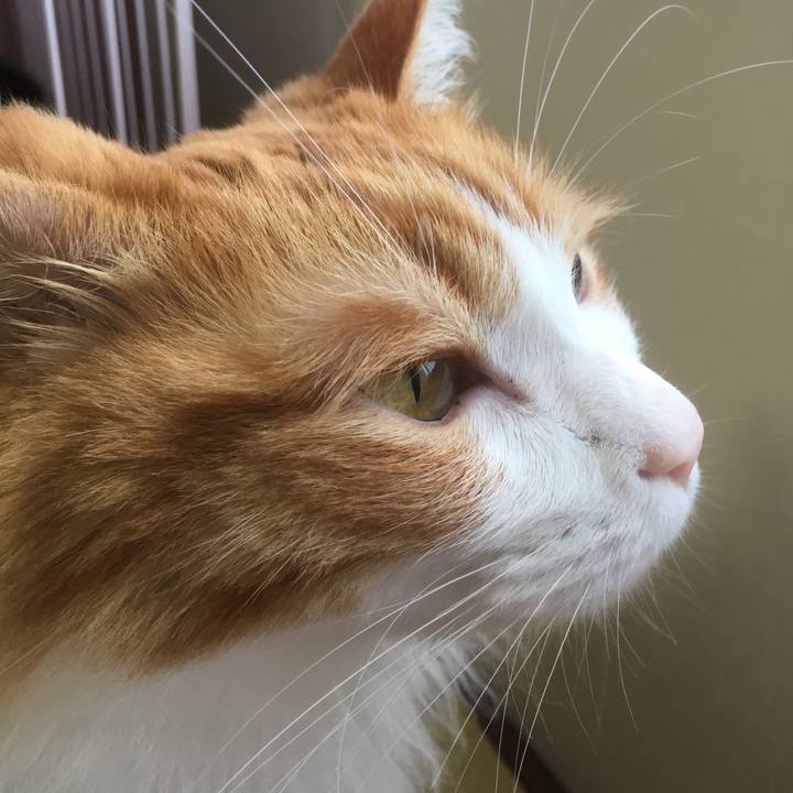 F732acc5 33ac 4214 903e cc3a4dfb477e