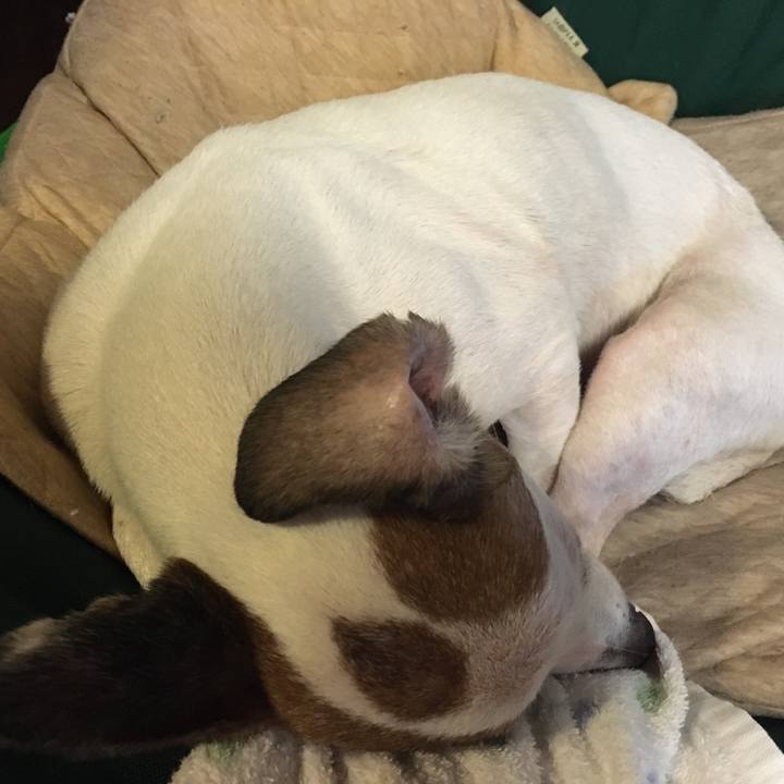 F733ae87 9e49 45d3 b6fb 4c0d573cae6a