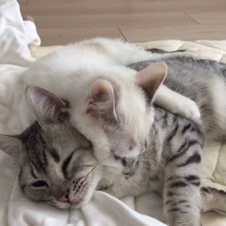 F734c872 308e 4f36 9edc 9a1af0dbcb63