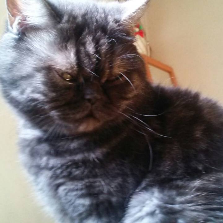 F734ff18 376e 4950 a5f5 ccbf339b50a0