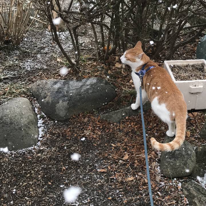 F73519ce af51 4022 ac94 5b0033ede0a3