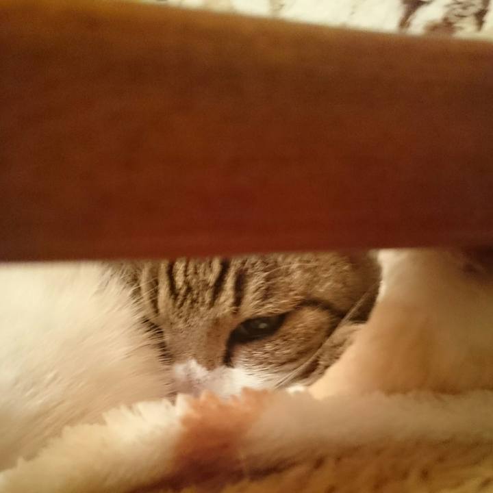 F73582e2 f00d 4f84 9386 3d25dec5eede