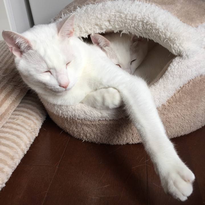 F735f97d fe76 469e a0f4 9bf3d1868e6f