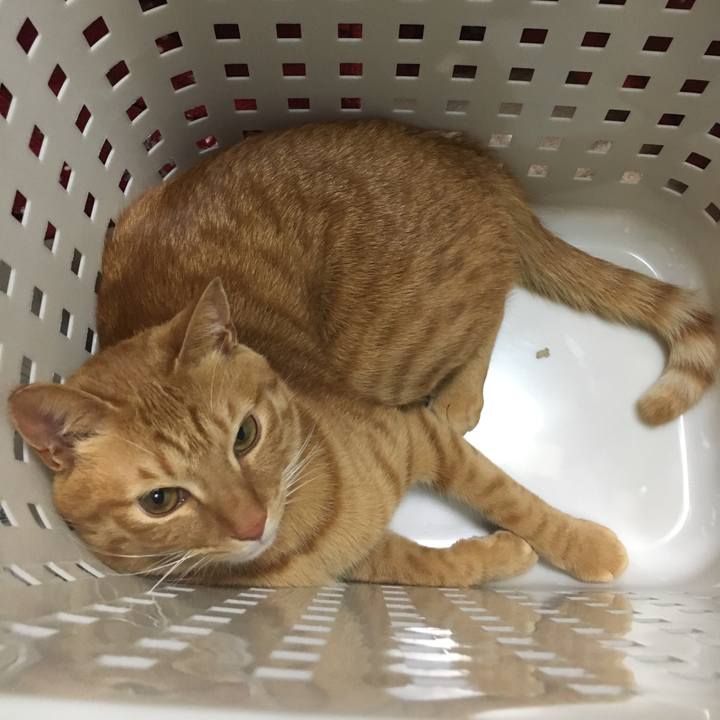 F736b321 b00f 48fb b2a0 84a0d896a32e