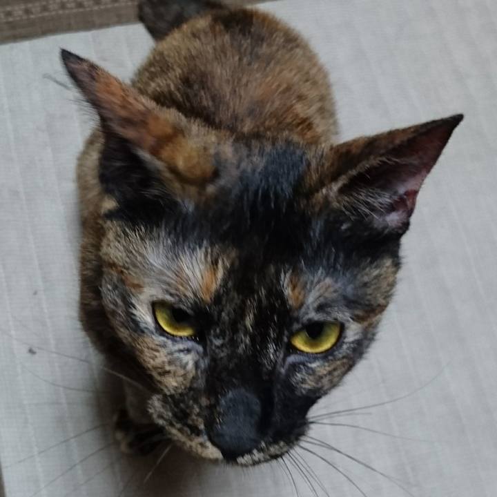 F736d7c0 2797 420c 8dcb 0b64f376f08f