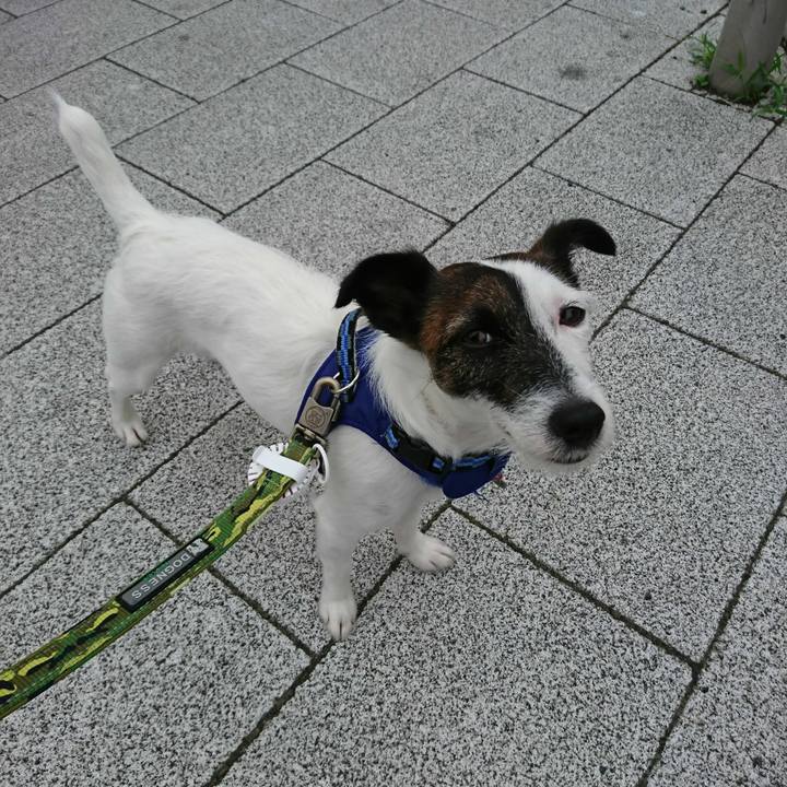 F7376305 745c 4a19 b600 de3fb211f9af