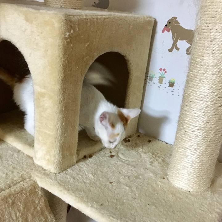 F7380aca 3e58 462f 92ec 4ce96b17713a