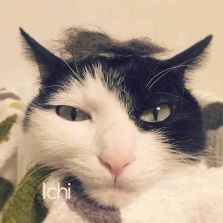 F7380cd1 e449 4213 bd61 7089d5fe51f4