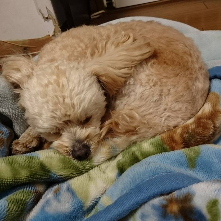 F7388cb3 0887 4e39 9d83 635b85e145e0