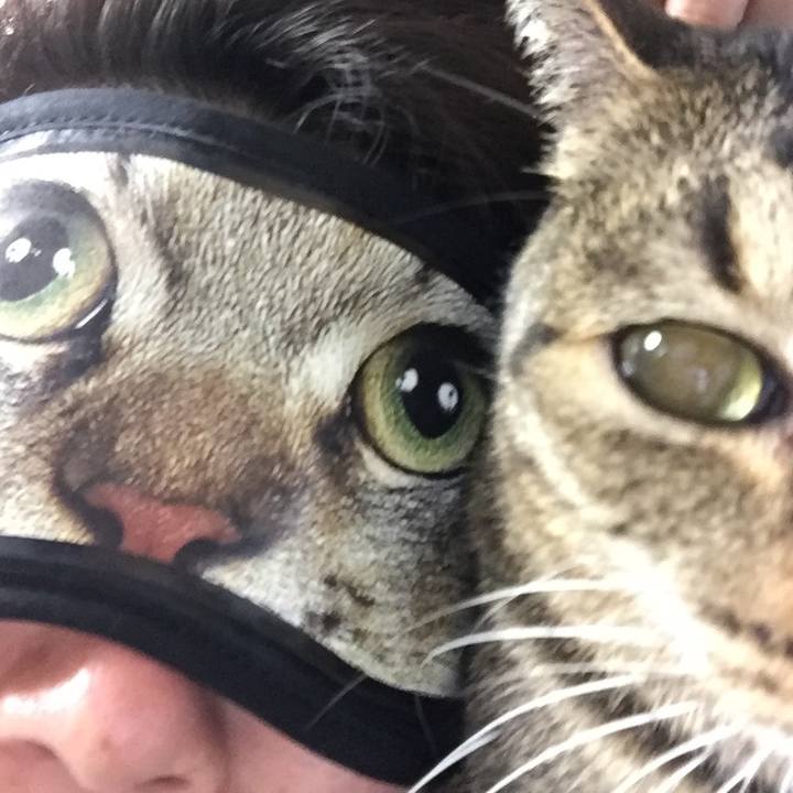 F738ce2a facf 41c8 a20f 33e3ebac714b