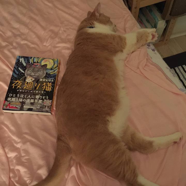 F738ee75 465d 4fca 8aae 7c97354f6969