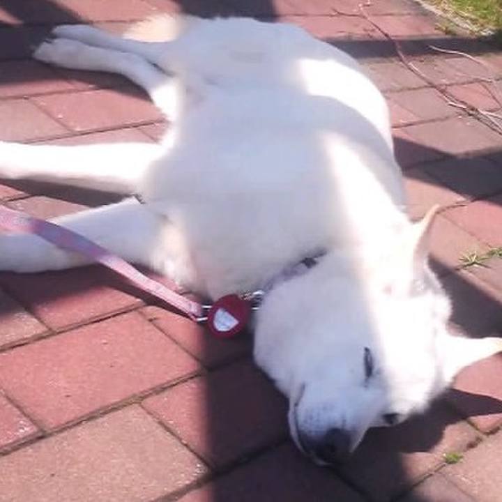 F7391e09 8f3c 4810 b2d8 90b23bbd9237