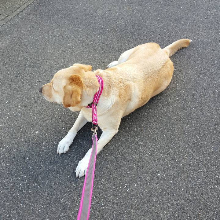 F739415d cc21 45d8 a92f 212858f2c976