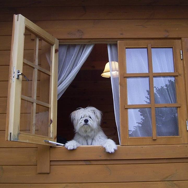 F7399ad2 1af0 46c1 93d8 95cb066ef02b