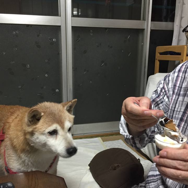 F73a61cb ea50 4943 9b07 5deca1285b42