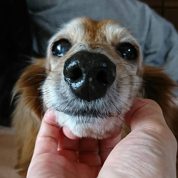 F73add54 891b 44ac 91c1 295a974370fb