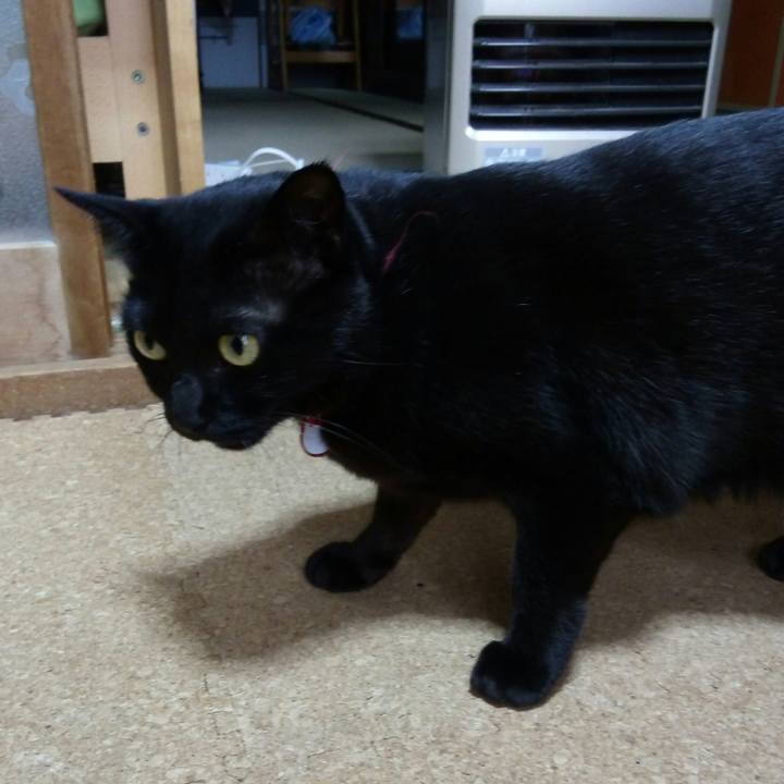 F73b61f9 b122 4374 b6f6 97e874fae4d0