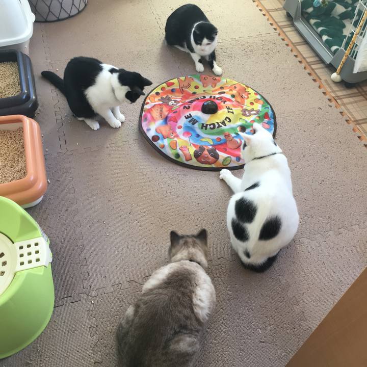 F73b6c7d db8c 44dc 92a9 c3ac650e5d82