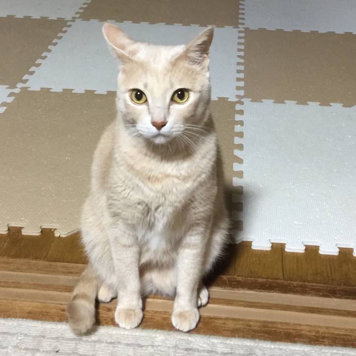 F73bf5a7 332b 49fa 91e4 84495752a8f2